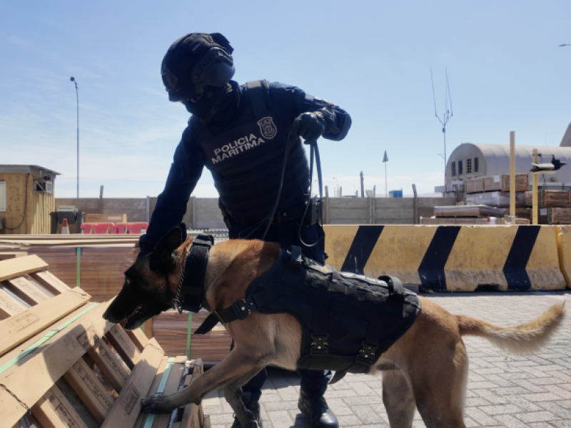 Golpe al narcotráfico: Armada y trabajo interagencial logran detectar cargas con cocaína y ketamina por más de 68 toneladas en Arica