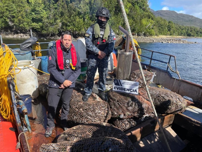 Autoridad Marítima y Sernapesca incautan más de 2 mil kilos de recursos del mar sin acreditación de origen